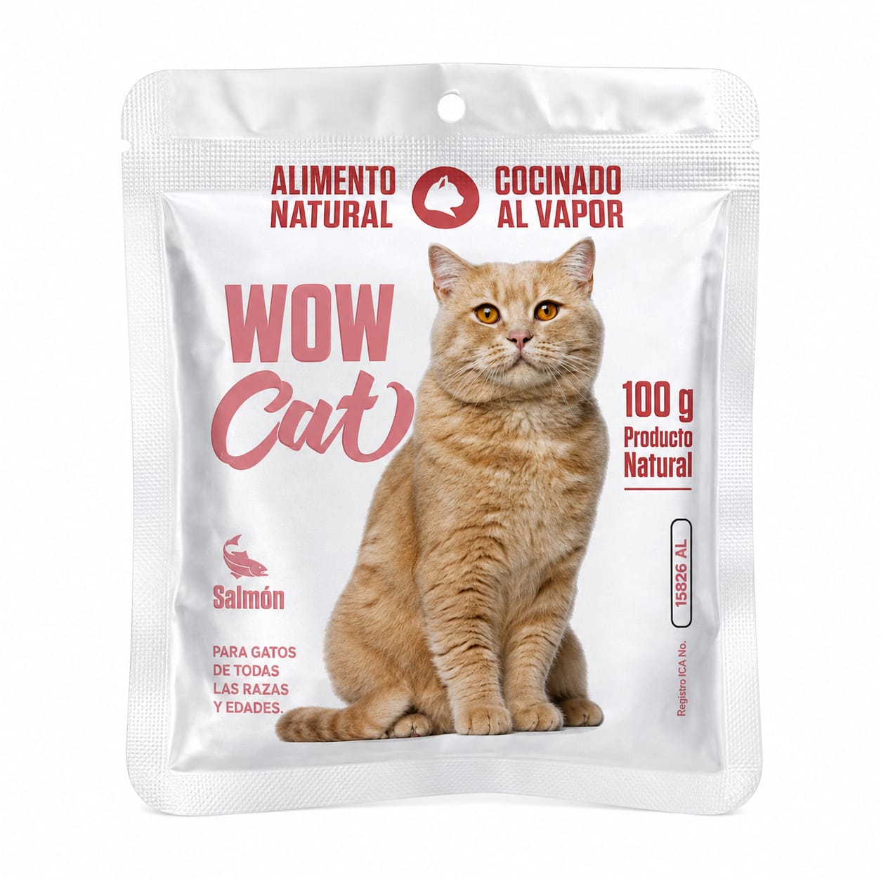 Wow Cat Salmón Alimento Natural Cocinado al Vapor 100 g